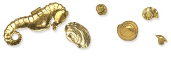 Sea & Shell Style